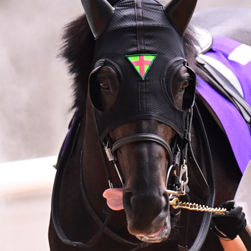 パレパレのアイコン