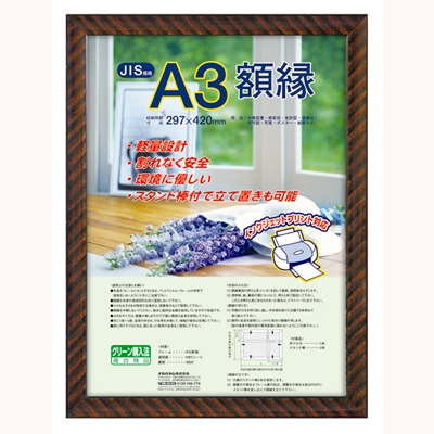 ナカバヤシ 樹脂製賞状額 金ラック A3判 フ-KWP-20