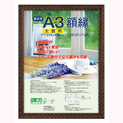 ナカバヤシ 樹脂製賞状額 金ラック 賞状 大賞判 フ-KWP-21