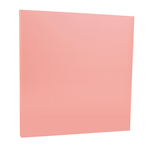 【WEB限定品】ナカバヤシ フエルアルバムDigio デジタルフリーアルバム/Lサイズ IT-LF-152-R レッド