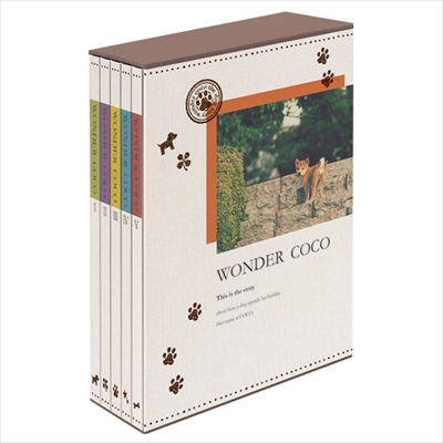 ナカバヤシ 5冊BOXポケットアルバム / L判480枚 ワンダーココ 5PL-480