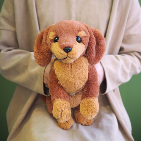 サンレモン ひざわんこ S ミニチュアダックス RBR P-7672 | ナカバヤシ