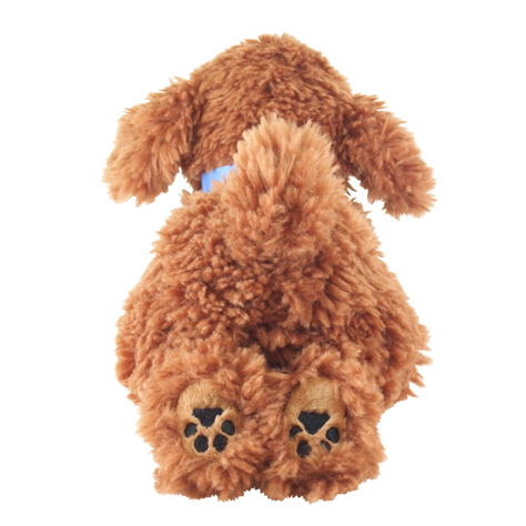 サンレモン ひざわんこ トイプードル BR P-3032 | ナカバヤシ