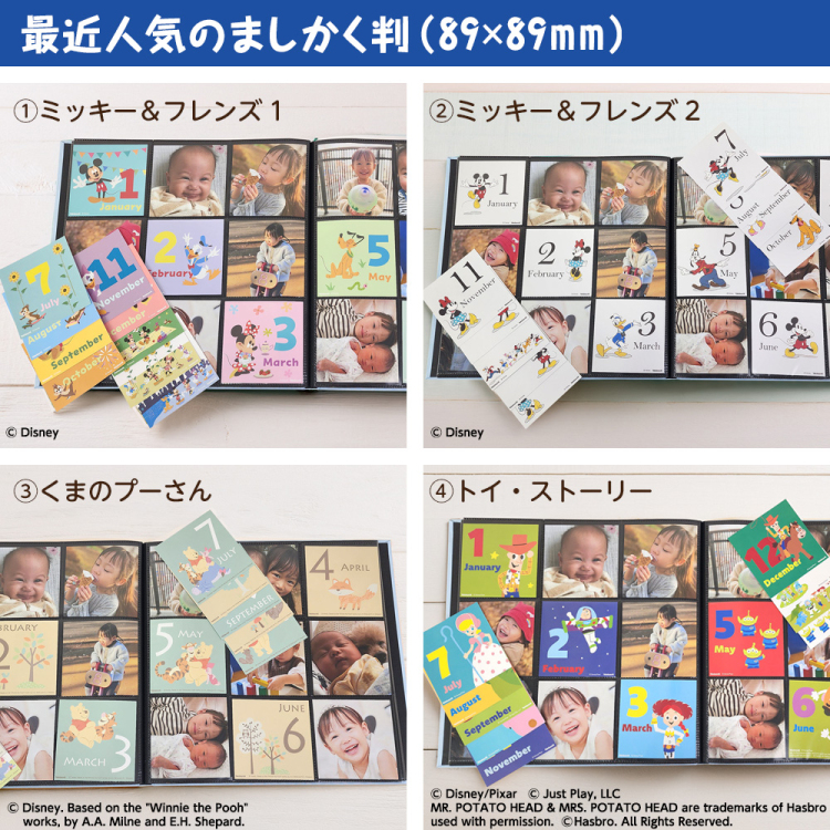 WEB限定品】 ディズニー マンスリー デザインポケットカード L判 IT