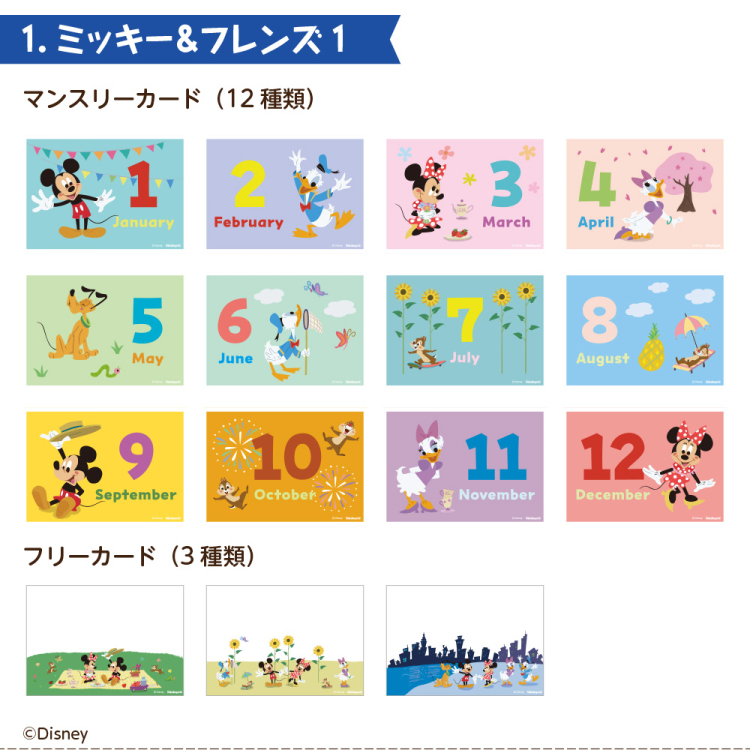 WEB限定品】 ディズニー マンスリー デザインポケットカード L判 IT