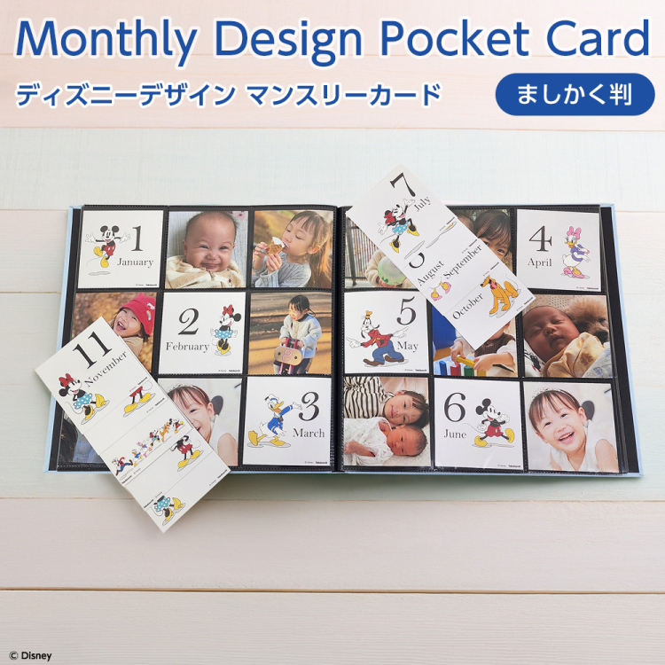 【WEB限定品】 ディズニー マンスリー デザインポケットカード ましかく判 IT-DPCM-D-SQ-02 ミッキー＆フレンズ2