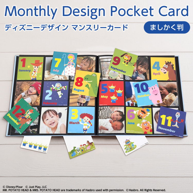 WEB限定品】 ディズニー マンスリー デザインポケットカード ましかく