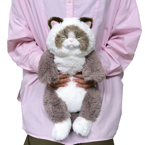 サンレモン ひざねこ すやすや ラグドール GYBR | ナカバヤシ