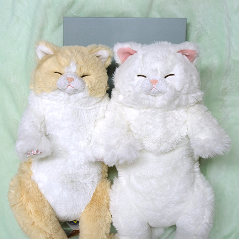 ぐでねこちゃんとビジュー　紅葉b サンレモン ひざねこ すやすや ラグドール GYBR | ナカバヤシ