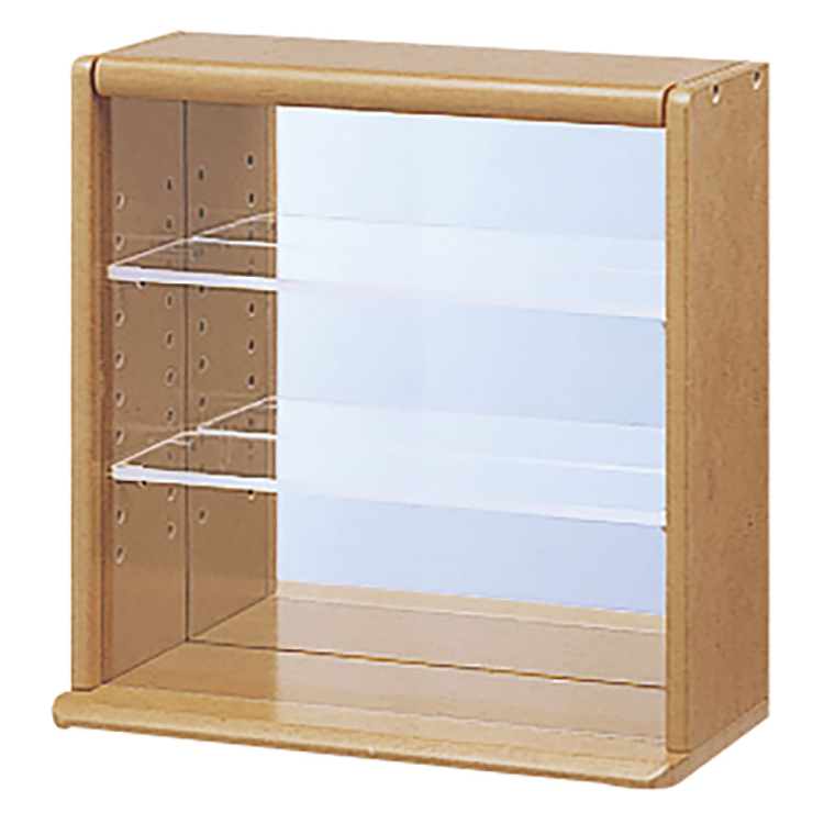 ナカバヤシ コレクションケース ミニ 透明アクリル棚板タイプ CCM-N001S