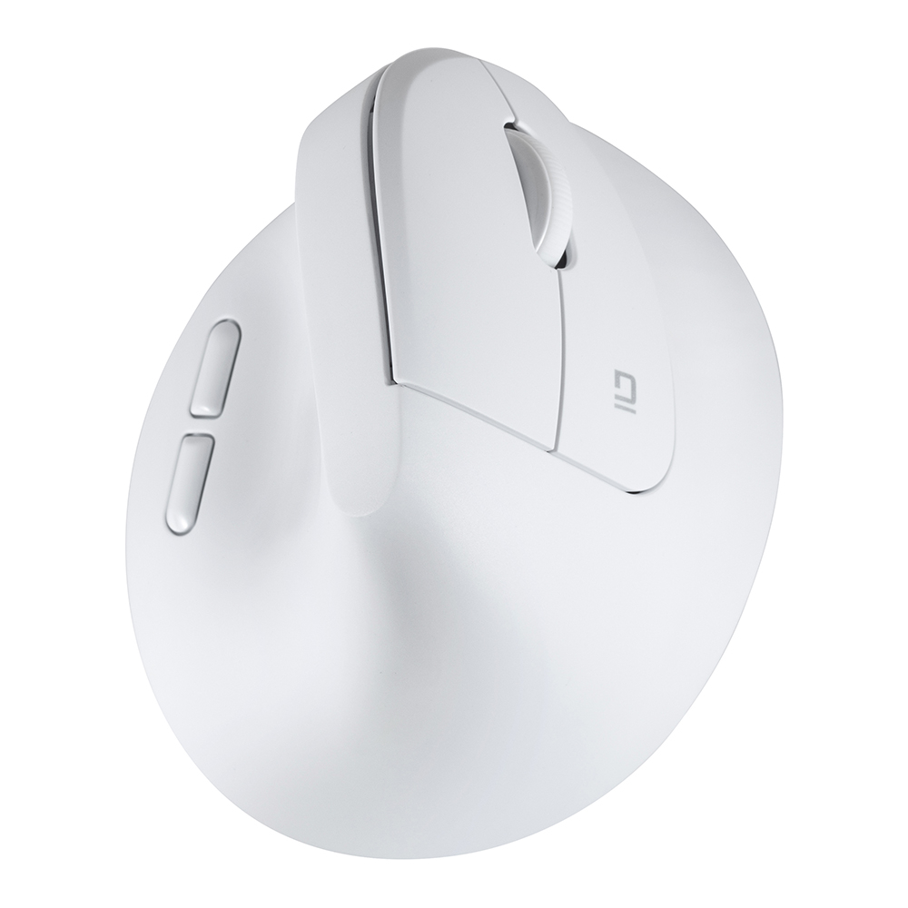 ナカバヤシ 無線静音5ボタンBlueLEDエルゴマウス/ホワイト MUS-RKF251W (tm)の商品画像