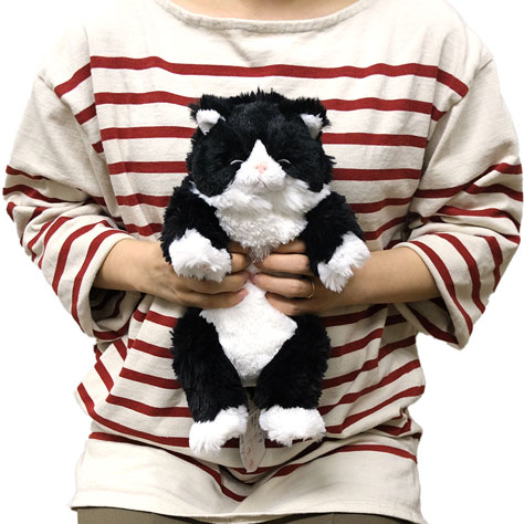 サンレモン ひざねこ すやすや ぬいぐるみ S ハチワレ P-1393