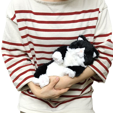 サンレモン ひざねこ すやすや ぬいぐるみ S ハチワレ P-1393