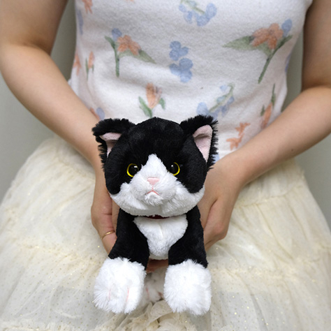 サンレモン ひざねこ SS ハチワレ P-1503 | ナカバヤシダイレクトショップ