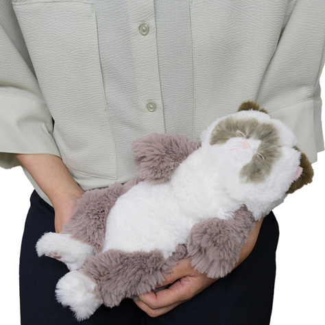 サンレモン ひざねこ すやすや S ラグドール GYBR P-1583 | ナカバヤシ