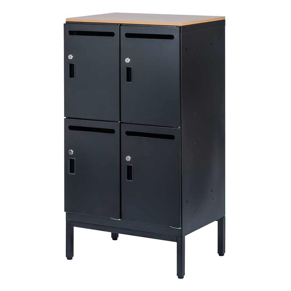 ナカバヤシ アバンテ-リネア パーソナルストレイジ 2列2段/マットブラック ATF-PL4MBKの商品画像