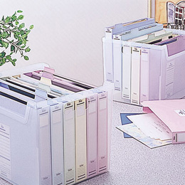 ナカバヤシ インデックスファイルボックス フボI-F3C