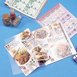 ナカバヤシ 超薄型ホルダー・キャプチャーズ WB5 HUU-WB5CB