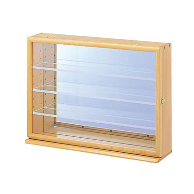 ナカバヤシ コレクションケース ワイド 透明アクリル棚板タイプ CCM-N202NM