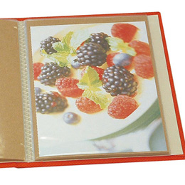 布クロスアルバム Terracotta【テラコッタ】 ナカバヤシ/ポケットアルバム/KG判タテ/レッド TER-KGP-75-R