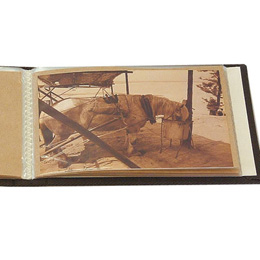 布クロスアルバム Terracotta【テラコッタ】 ナカバヤシ/ポケットアルバム/L判ヨコ/ブラウン TER-LP-70-BR