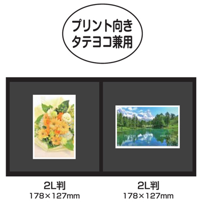 ナカバヤシ 写真台紙/スクエア2L判2面 VM2L-301-P ピンク