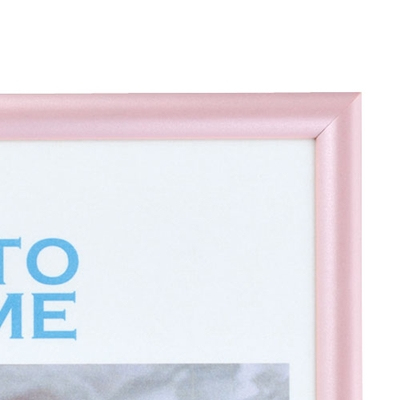 ナカバヤシ 樹脂製(PVC)フォトフレーム A4判/B5判 ピンク フ-TPS-401-P