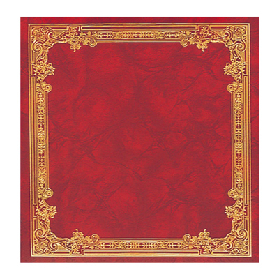 ナカバヤシ フヤスアルバム L アフ-LF-102R レッド