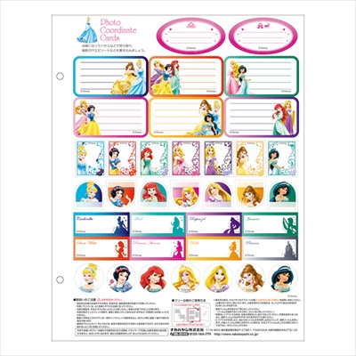 ナカバヤシ ディズニーキャラクター/A4フエルアルバム/プリンセス プラコート台紙(白)8枚 ア-A4P-150-3