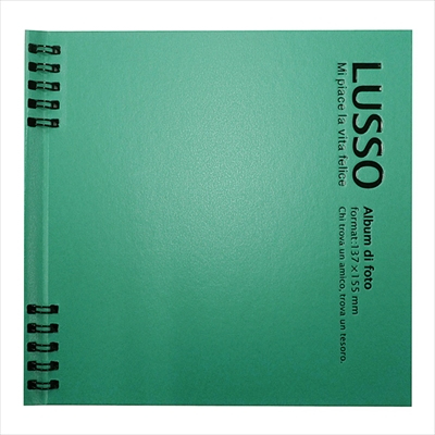 アルバム ナカバヤシ ルッソ Wリングかける~の台紙アルバム LUWK-L1 luwk-l1-g グリーン