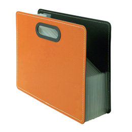 ナカバヤシ IROKATU ドキュメントファイル・発泡PP製/A4/ヨコ型 DF-A401E-AO アプリコットオレンジ