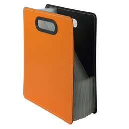 ナカバヤシ IROKATU ドキュメントファイル・発泡PP製/A4/タテ型 DF-A401S-AO アプリコットオレンジ