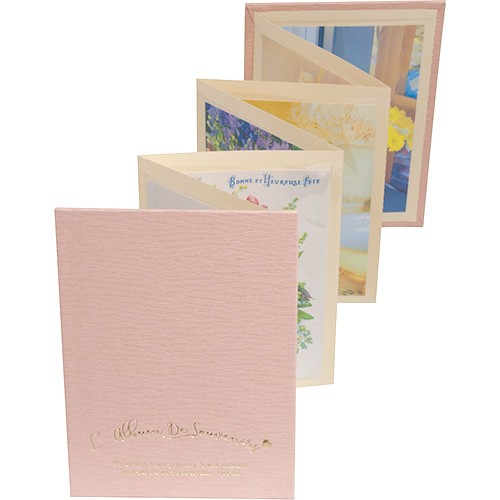 ナカバヤシ アコーディオンタイプポケットアルバム (KGサイズ12枚収納) ア-PAJ-KG-3 ホワイト