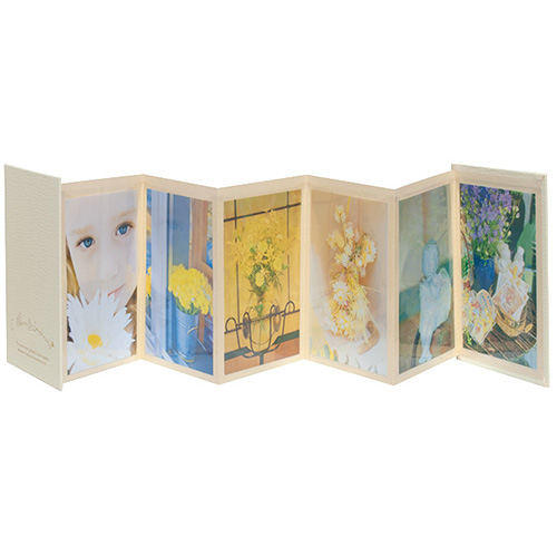 ナカバヤシ アコーディオンタイプポケットアルバム (KGサイズ12枚収納) ア-PAJ-KG-3 ホワイト