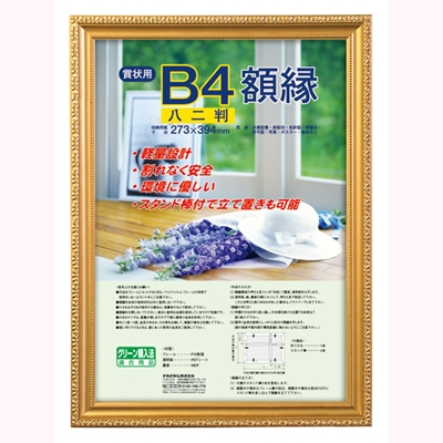 ナカバヤシ 樹脂製賞状額 金ケシ 八ニ判 フ-KWP-37