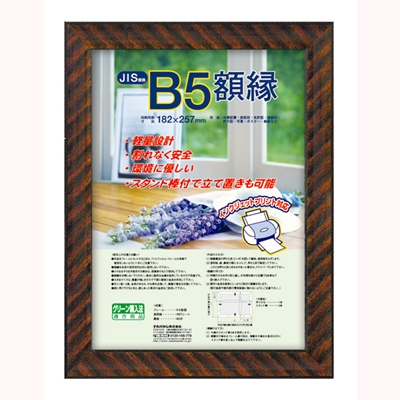 ナカバヤシ 樹脂製賞状額 金ラック B5判 フ-KWP-11