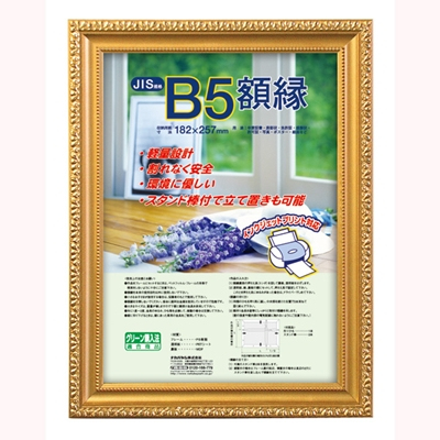 ナカバヤシ 樹脂製賞状額 金ケシ B5 フ-KWP-31