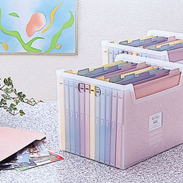 ナカバヤシ インデックスファイルボックス フボI-F4C