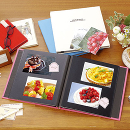 ナカバヤシ ドゥファビネ フエルアルバム デミ アH-DD-141-Wホワイト