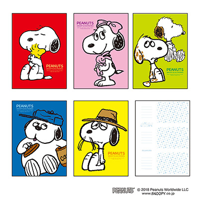 ナカバヤシ ピーナッツ/スヌーピーB L判210枚収納 5冊BOXポケットアルバム ア-PL-1031-12
