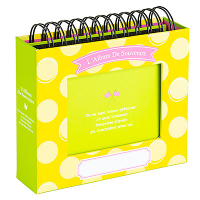 アルバム ナカバヤシ フォトランク フレームケースアルバム L判1段60枚 ポケットアルバム A-FTPC-103-Y イエロー