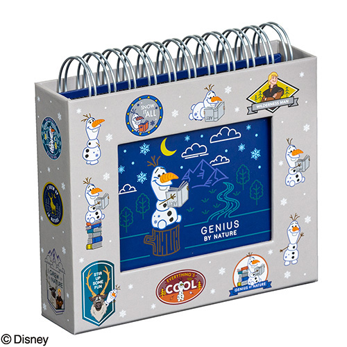 ナカバヤシ ディズニーキャラクター フレームケースアルバム L判1段 アナと雪の女王2 A-FTPC-205-2