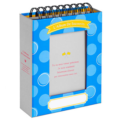 アルバム ナカバヤシ フォトランク フレームケースアルバム タテ型 L判1段60枚 ポケットアルバム A-FTPT-301-B ブルー