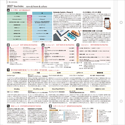 想い出INDEXシリーズ 「Year Index」 2017年版 Lサイズフエルアルバム用情報シートINDEX-YE-09