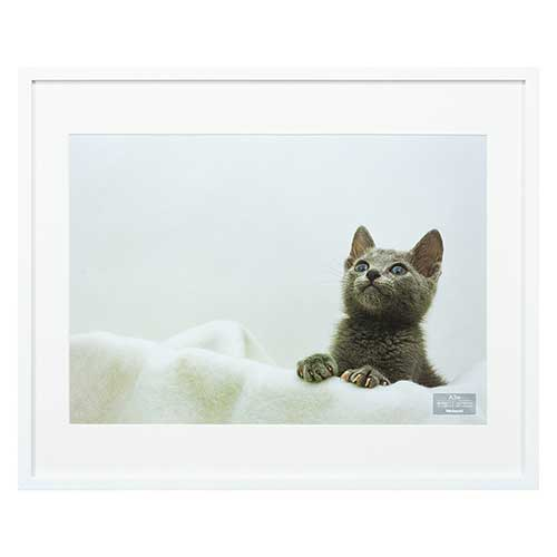 ナカバヤシ 木製写真額 A3判(ホワイト)F-SW-117-W