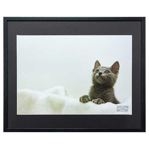 ナカバヤシ 木製写真額 A3判(ブラック)F-SW-117-D