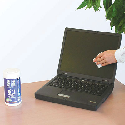 ナカバヤシ Digio 液晶画面用 ウェットタイプクリーナー 大判タイプ・20枚 DGCW-L3020 (tm)