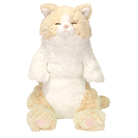 サンレモン　ひざねこ すやすや CR  P-6472