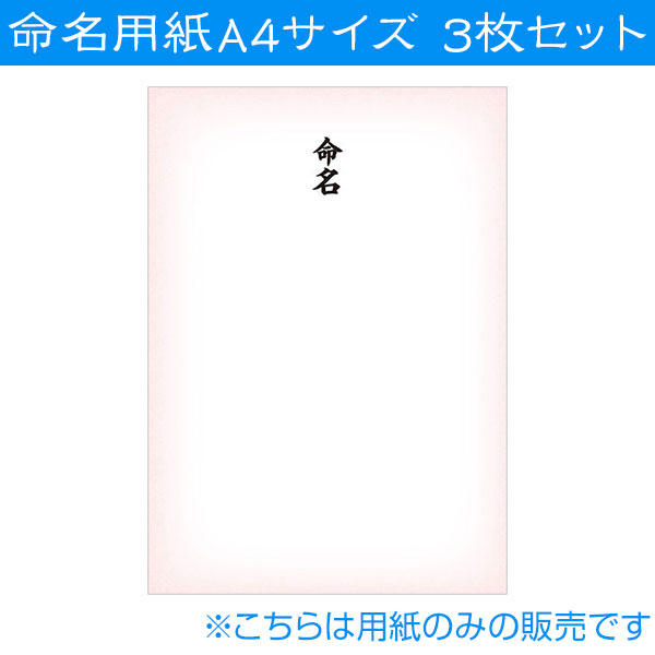 命名紙09　命名用紙3枚セット IT-ME-09