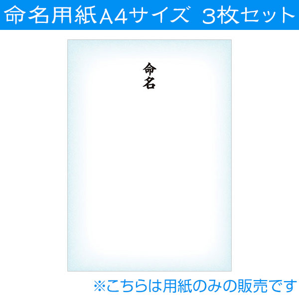 命名紙10　命名用紙3枚セット IT-ME-10